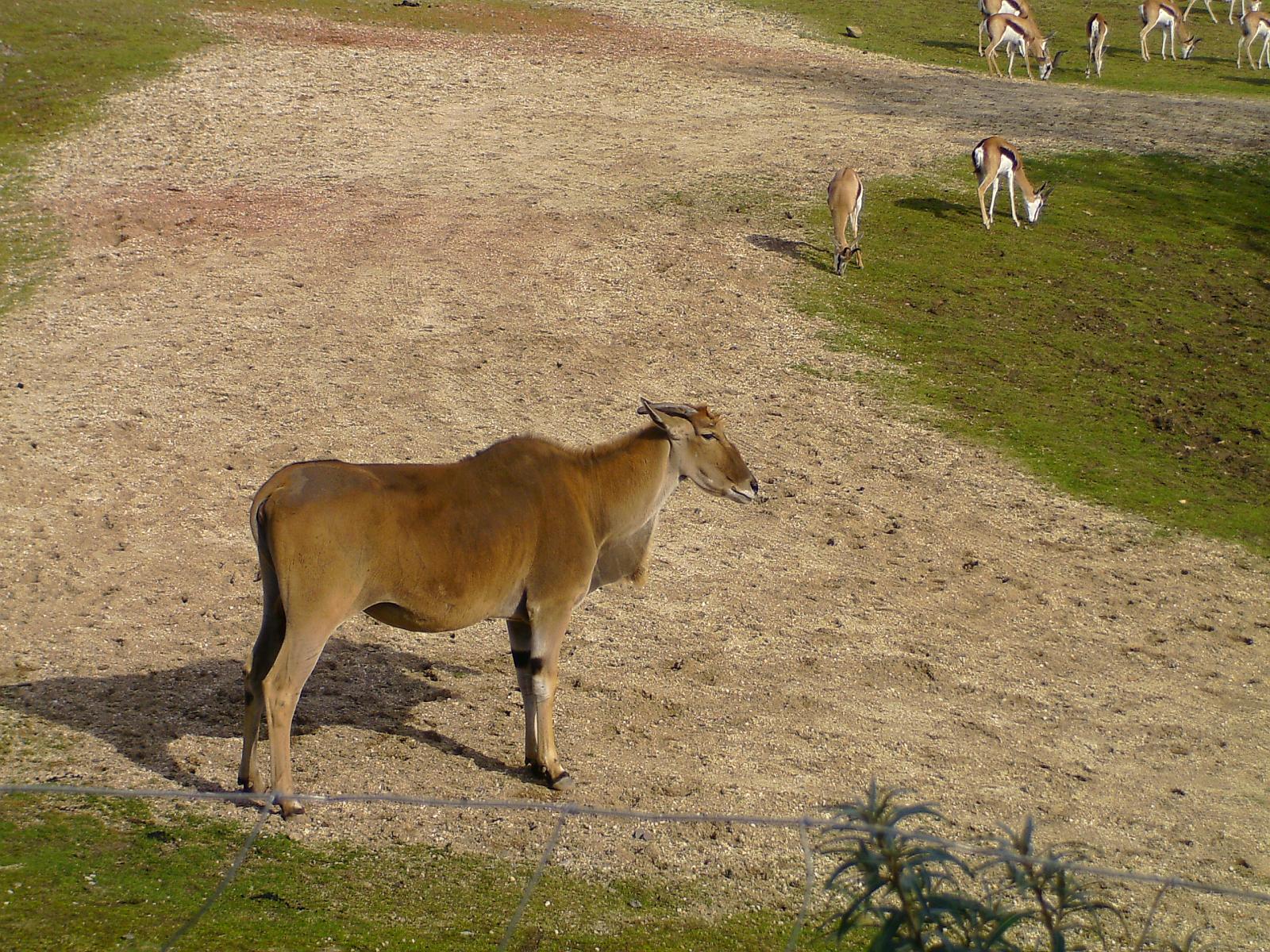 Zoom 18.10.08-105.jpg